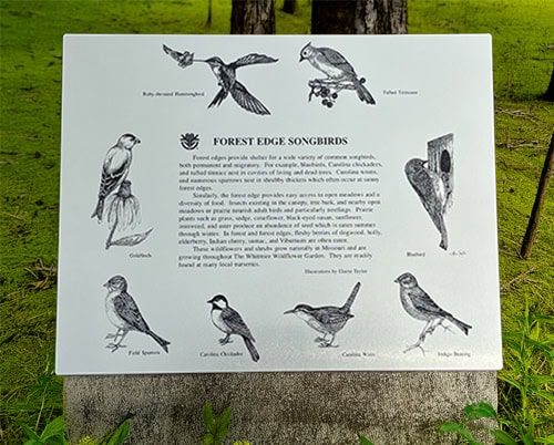 Metal Photo Bird Plaque on Trail 500