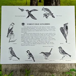 Large Bird Guide Sign on Silver Metalphoto Plate
